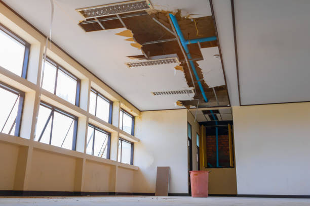Trusted St Michaels, MD Water damage restoration Experts