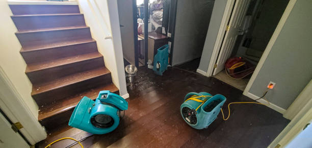Best Flood restoration services  in St Michaels, MD