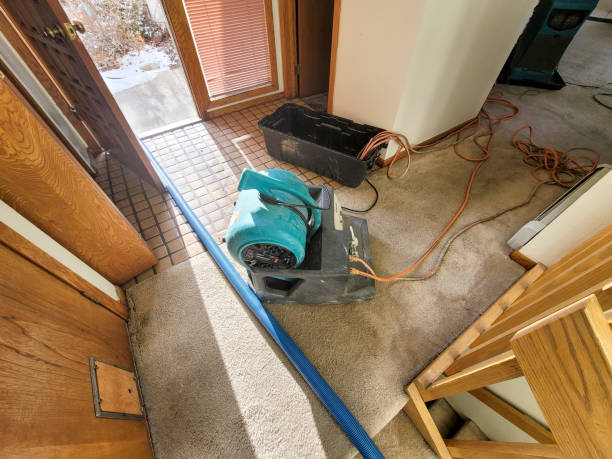 Best Water damage mitigation services  in St Michaels, MD