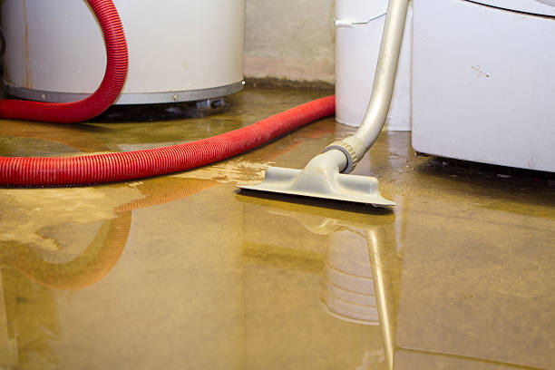 Best Water damage restoration cost  in St Michaels, MD