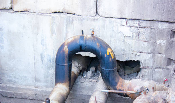 Best Basement water damage restoration  in St Michaels, MD